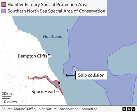 Map showing the outlines of the Humber Estuary Special Protection Area in red and the Southern North Sea Special Area of Conservation in purple. The ship collision is marked and sits on the end of the Southern North Sea area. Bempton Cliffs and Spurn Head are also marked.