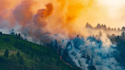 Garan Thomas An aerial photo shows smoke billowing from trees on the side of a mountain and a line of fire under the smoke.