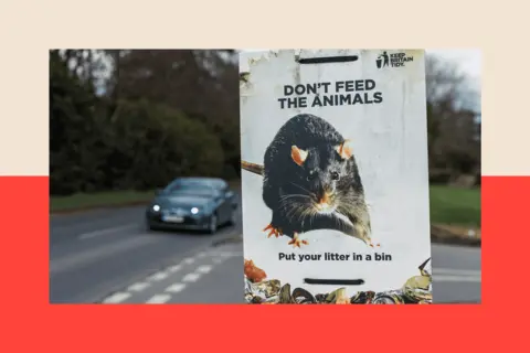 Getty Images A sign warning not to feed animals, with a picture of a rat. 'Put your litter in a bin'